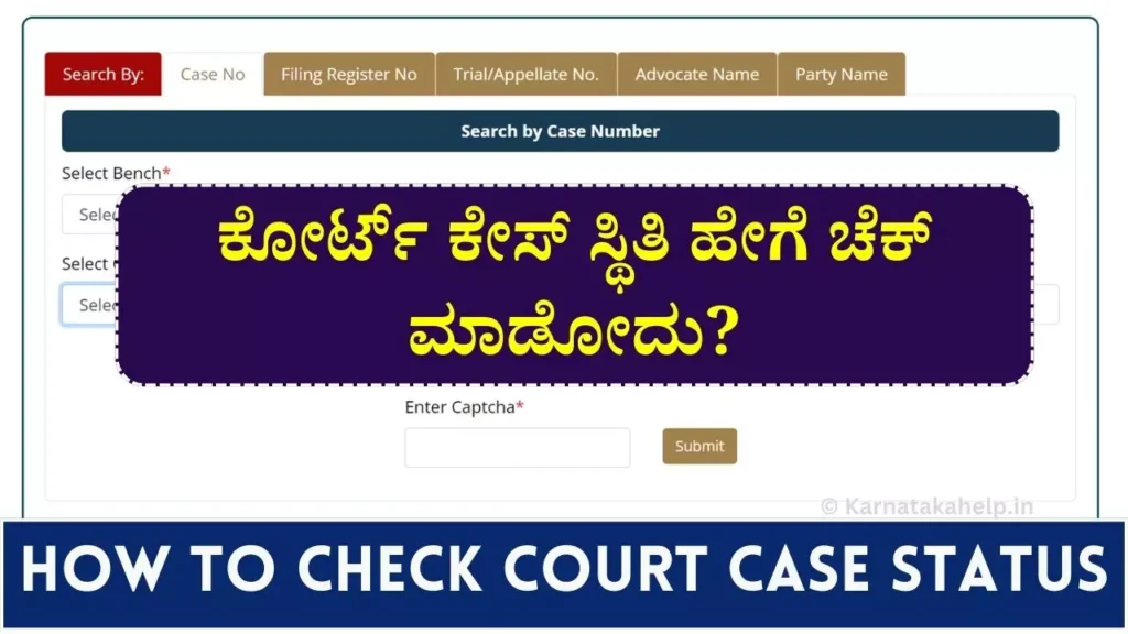 Check Court Case Status